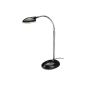 Lightbox Toni LED desk / table lamp, with flexible joint, 1x 2W LED integrated, height: 32 cm, metal, black G92953A06 (household goods)