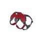 Ruffwear 30101-615LL1 Web Master Harness Harness, L / XL, red (Misc.)