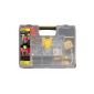 Stanley 1-94-745 SortMaster 17 compartments Organizer (Tools & Accessories)
