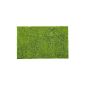 Energy bathroom carpet chenille Erik with special anti-slip underside 50X80 cm pile height 1.5 cm green