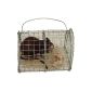 Rat in a cage SKULL HORROR Halloween Party Decoration (Toys)