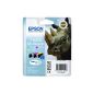 Epson T1006 ink cartridge rhino, Multipack, 3-color (Office supplies & stationery)
