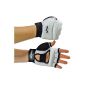 Kwon boxing Hand protection Taekwondo WTF (Sports Apparel)