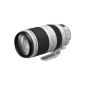 Canon EF 100-400mm 1: 4.5-5.6L IS II USM Camera Lens (optional)
