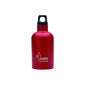 Laken Futura Thermo narrow flask thermos bottle thermos stainless steel - 8h hot or cold 24 - Made in EU / Spain - + UP® Keychain (Misc.)