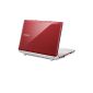 N150Plus Samsung Netbook Atom N455 10'1 HD LED 250GB up to 1024 MB of 11,5h use Red (Electronics)