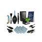 4in1 Power Kit + 2x Battery DMW-like BLG10 DMW-BLG10E + Professional Cleaning Kit for Panasonic Lumix DMC-GF6 | Lumix DMC-GX7 and more ... [Li-ion;  750mAh;  7.2V] (Electronics)