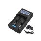 Foxnovo F-2 2-Slots Li-ion Ni-MH Ni-CD Sound Prompt Battery Capacity Testing LCD Intelligent battery charger with EU plug adapter 12V car adapter for 26650, 22650, 18650, 18500, 18490, 17670 , 17650, 17500, 16340, 14500, 10440 Ni-MH and Ni-CD A, AA, AAA, C, SC-battery (Black) (Electronics)
