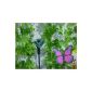 Dancing Solar butterfly catcher on your patio / flower bed (Toys)