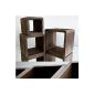 NEG table set VINUJA (dark brown) 3 pcs.  Bedside table / tea table / side table made of real wood (44/36 / 28x35cm)