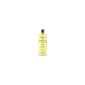 Friction Foucaud Lotion 500 ml Energizing Body (Health and Beauty)