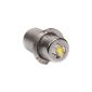 Niteize LED bulb for Maglite D & C batteries (Tools & Accessories)