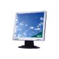 Acer AL1715MS 43.2 cm (17 inch) LCD monitor with 12ms Response Time Silver (Personal Computers)