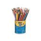 Bic Evolution 841 229 60 Pot-ASS evolution pencils Assorted Colours (Office Supplies)