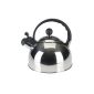 Axentia 220353 Kettles Stainless 2:50 liters handle, black (household goods)
