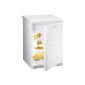 Gorenje RB6092AW refrigerator / A ++ / refrigerator: 124 L / freezer: 21 L / white / Large fruit and vegetable containers / LED interior lighting / Eco Top Ten (Misc.)