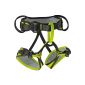 EDELRID children's climbing harness Finn, slate / oasis, XXS (equipment)