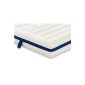 Badenia 03889640152 cold foam mattress Irisette Vitaflex FlexTube H4 180 x 200 cm, white (household goods)