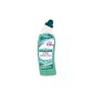 Sanytol - 33639130 - Descaler Disinfectant toilet - Freshness Active - 750 ml (Personal Care)
