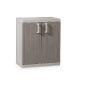 Toomax ART245 Wardrobe 2 doors + 2 shelves Wood Line L Polypropylene Taupe Grey / Grey (Garden)