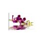 Visario canvases 4132 painting on canvas Orchid, 80 x 60 cm (household goods)