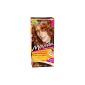 Garnier Movida Hair color intense tonalities, 17 gold copper, 3-pack (3 x 1 Colorationsset) (Health and Beauty)
