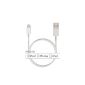 [Apple MFI certified] RAVPower® Apple Lightning cable USB sync cable 0.9m USB 2.0 A to 8 Pin Apple Lightning Cable USB Cable for Apple iPhone 6 Plus / 6 / 5s / 5c / 5, iPad Air / Mini / Mini 2, iPad 4th generation, iPod touch 5th generation, and iPod nano 7th generation (electronic)