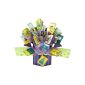 Second Nature Pop Up Greeting Card Birthday (Office supplies & stationery)
