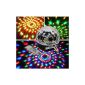 The arrival of New Club Disco DJ Party Lights Ball Music MP3 Remote Color Changing LED Effect Mini Laser stage lighting Spiders Web Net Lights