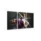 Mortal kombats scorpion 3-piece on Burlap Total size: 120x80 cm finished framed art print images as mural - Cheaper than oil painting or painting - NOT a poster or banner,