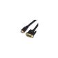 Wentronic HDMI (19-pole to DVI-D connector) 3 m (option)