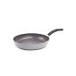 Ozeri Germany ZP3-26 Stonehenge non-stick pan non-stick coating without PFOA, suitable for induction, diameter 26 cm (household goods)