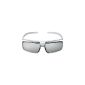 Sony TDGSV5P Passive 3D Glasses for SimulView gaming technology Silver (Electronics)