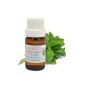 BASIL Essential Oil HEBBD TROPICAL 10ml (Health and Beauty)