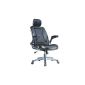 212125 office swivel chair office chair swivel chair executive chair GT40 ClassicCarSeat (Office supplies & stationery)