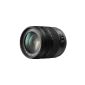 Panasonic H-VS014140E superzoom lens Lumix G Vario F4.0-5.8 / 14-140 mm (62 mm filter thread, image stabilized) black (accessories)