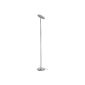 Trio lights LED floodlights in satin nickel, satin glass / clear 422810107 (household goods)