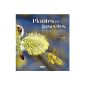 Plants and insects: Lasting relationships (Hardcover)