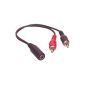 Bulk CABLE-470 Cable 2 RCA Male Jack 3.5mm Stereo Female (Accessory)