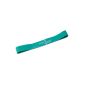DITTMANN Rubberband Rubberband exercise band expander resistance strong green (Misc.)