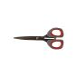 Scissors robust, light, which does not rust and pleasant