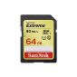 SanDisk Extreme SDXC Memory Card 64GB Class 10 UHS-I U3 with a read speed of up to 60MB / s (064G-SDSDXN-FFP) (Accessory)