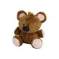 Garfield Pooky about 15cm bear soft toy teddy stuffed animal stuffed animal plush figure (toy)