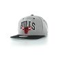 mitchell and ness Chicago Bulls TEAM ARCH SPECIAL gray / black (Misc.)