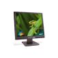 Acer AL1917L 48.3 cm (19 inch) TFT monitor DVI (dyn Contrast 700:. 1, 5 ms response time) (Personal Computers)
