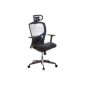 HJH OFFICE 657 010 office chair / executive chair Venus One mesh, blue (household goods)