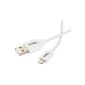 AmazonBasics Lightning to USB Cable Apple Certified White 1.8m (Electronics)