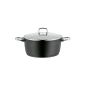 WMF 0586284290 meat pot Ø 28 cm Bueno induction (household goods)