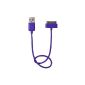 Cable load and purple sync iPhone 3g 3gs 4 / 4S ipod ipad (Electronics)