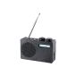 VRradio Portable DAB + / FM radio DOR 100.rx with RDS feature (Electronics)